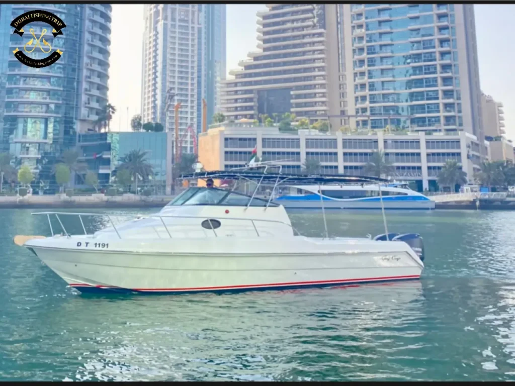 Dubai Fishing Trip Gulf Craft 31 FT full boat